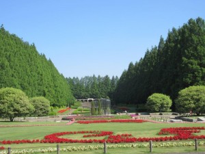 IMG_1651