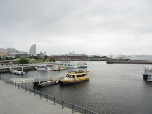 IMG_1706
