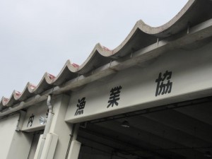 IMG_1765