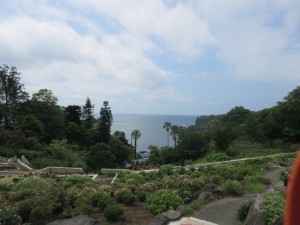 IMG_1769