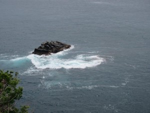 IMG_1781
