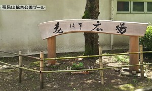 2018-07-01 花蓮祭り 毛呂山 (1)