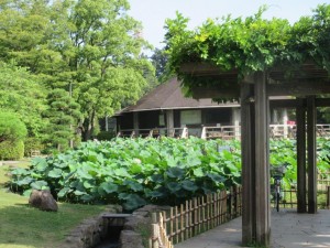 IMG_1859