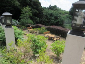 IMG_1887
