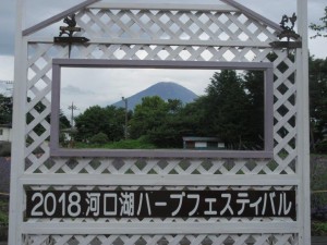 IMG_1912