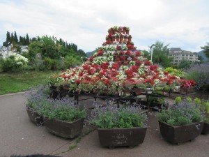 IMG_1914
