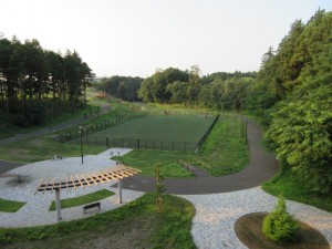 IMG_2020