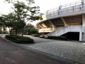 IMG_2638 (800x600)