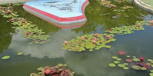 2018-07-01 花蓮祭り 毛呂山 (3)