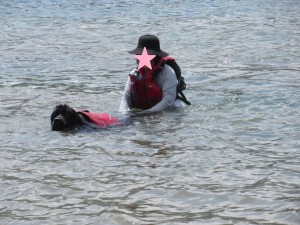 IMG_1993
