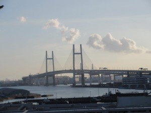 IMG_2056