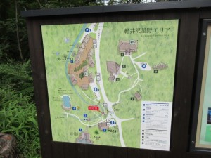 IMG_2080