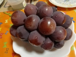 IMG_20180911_193255