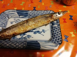 IMG_20180925_182645
