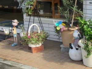 IMG_2250