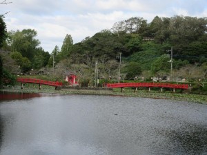IMG_2254