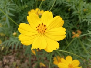 IMG_20181008_092617