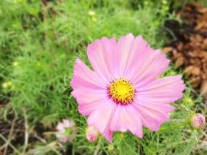 IMG_20181008_094129