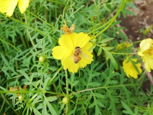 IMG_20181008_094849