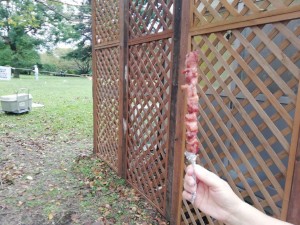 IMG_20181008_100708