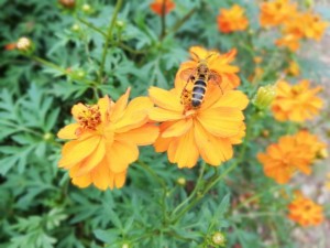IMG_20181008_101506