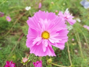 IMG_20181008_101540