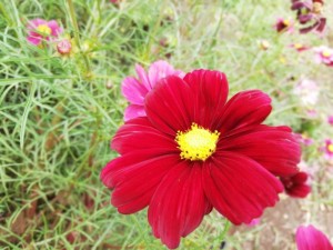 IMG_20181008_101557