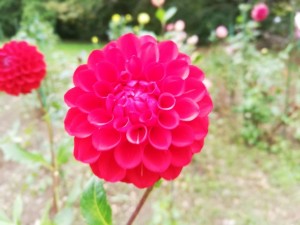 IMG_20181008_101810