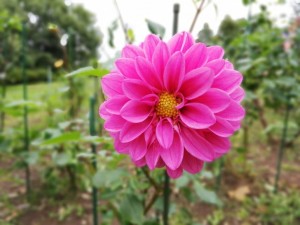 IMG_20181008_101844