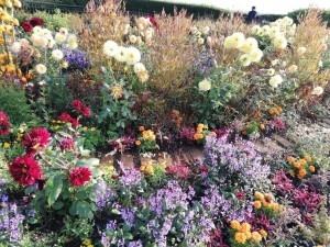 IMG_20181020_064854