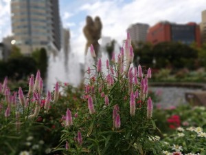IMG_20181020_072550