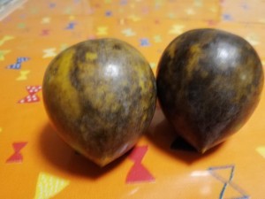 IMG_20181022_184800