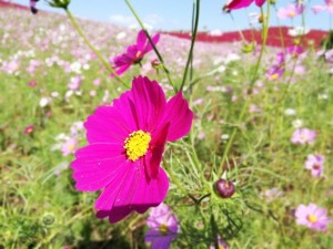IMG_20181025_101149