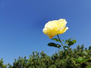 IMG_20181025_104813