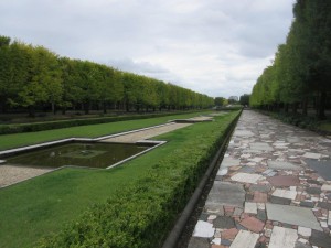 IMG_2294