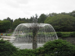 IMG_2313
