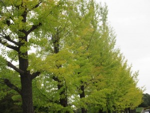 IMG_2318
