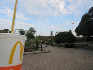 IMG_2347
