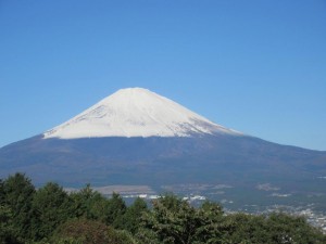 IMG_2370