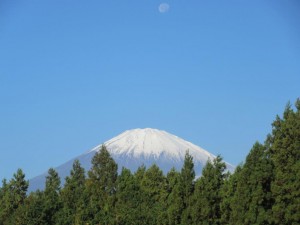 IMG_2406