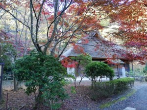IMG_20181123_081747