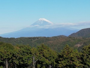 IMG_20181125_091751