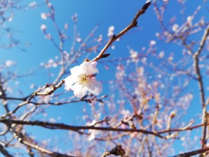 IMG_20181125_092756
