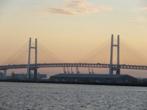 IMG_2423