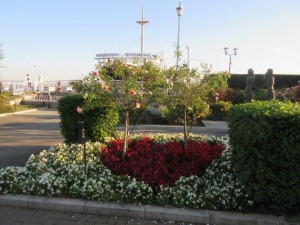 IMG_2425