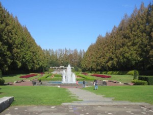 IMG_2429