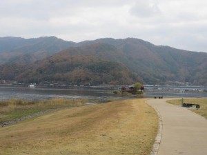 IMG_2460