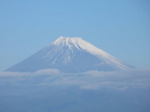 IMG_2490