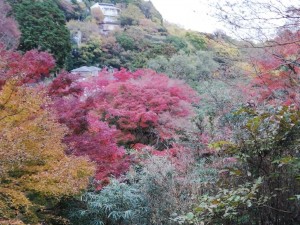 IMG_20181202_085027