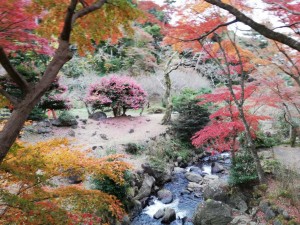 IMG_20181202_130422